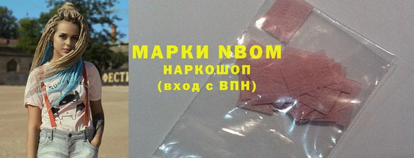 прущие грибы Верхний Тагил