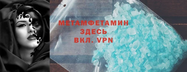 прущие грибы Верхний Тагил