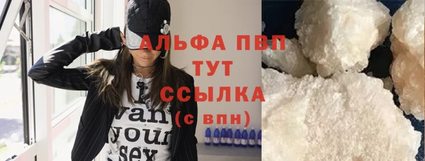 прущие грибы Верхний Тагил