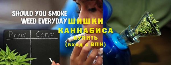 прущие грибы Верхний Тагил