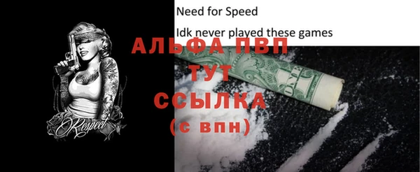 сатива Верея