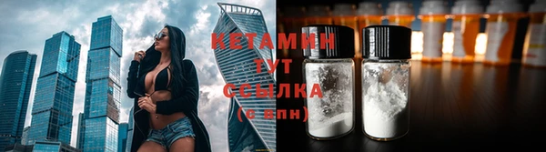 сатива Верея