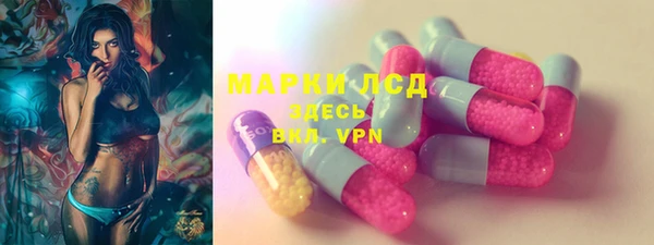 сатива Верея