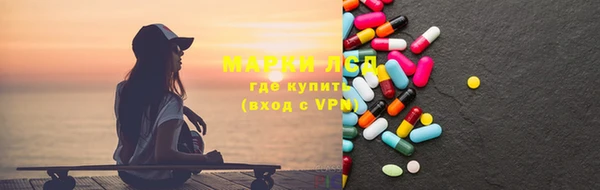 прущие грибы Верхний Тагил