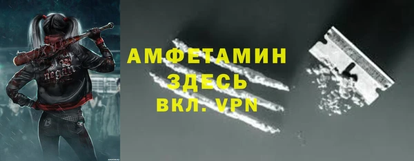 прущие грибы Верхний Тагил