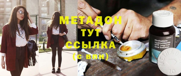 прущие грибы Верхний Тагил
