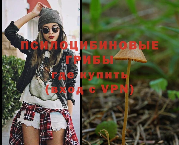 прущие грибы Володарск